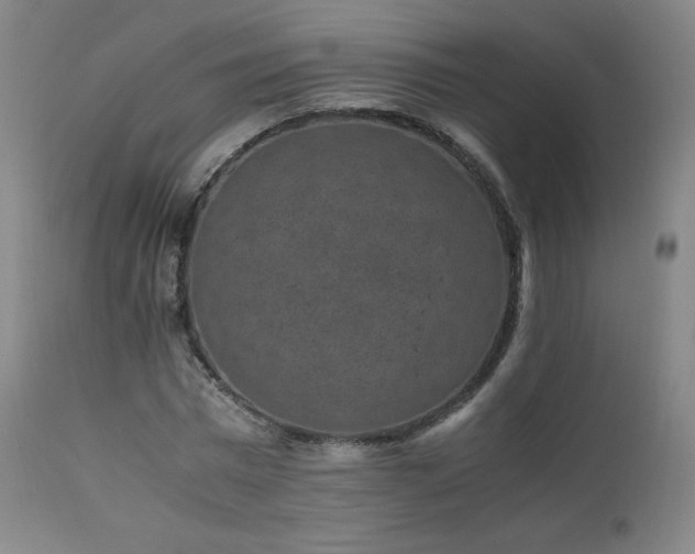 X0000111810777200907231233