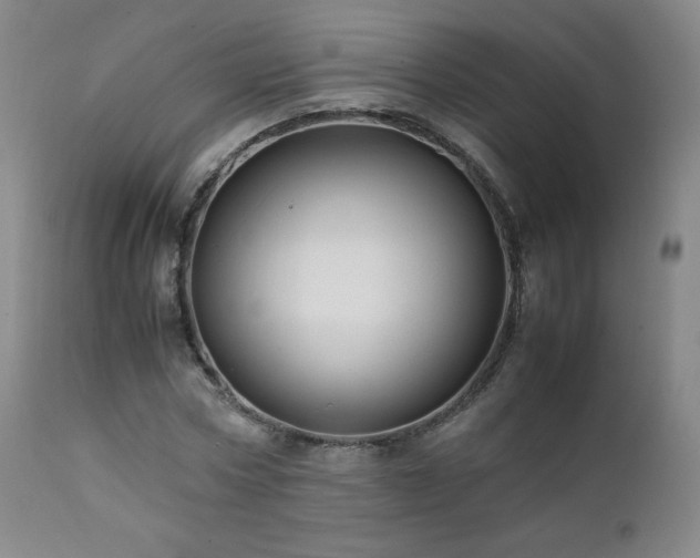 X0000111810778200907231233