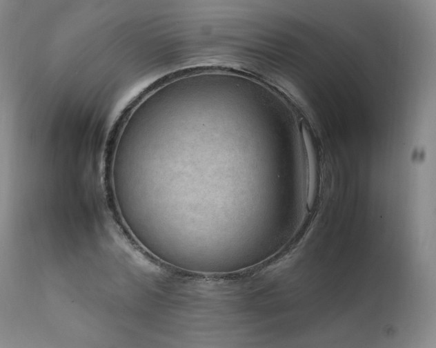 X0000111810780200907231233