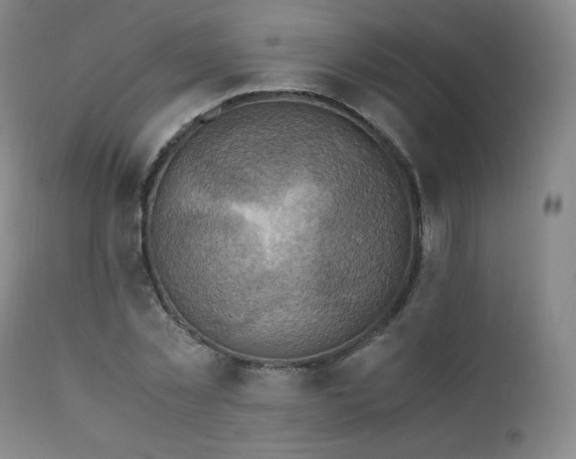 X0000111810781200907231233