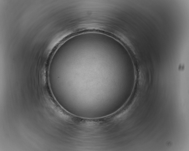 X0000111810782200907231233