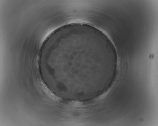 X0000111810783200907231233