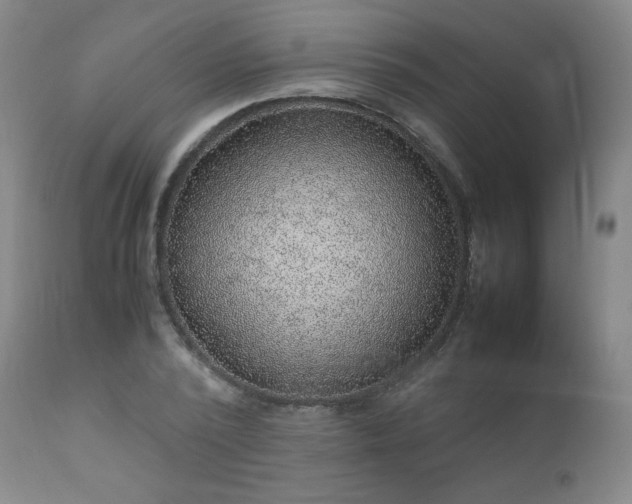X0000111810784200907231233