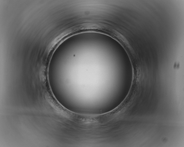 X0000111810786200907231233