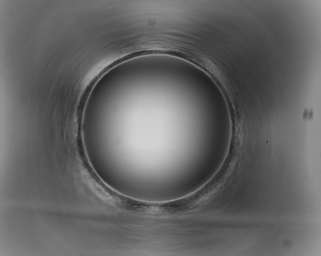 X0000111810787200907231233