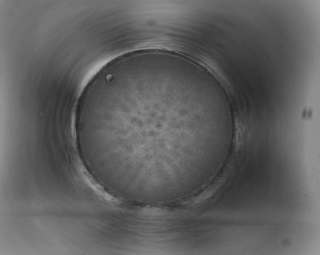 X0000111810788200907231233