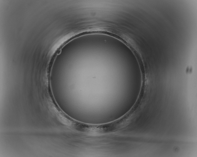 X0000111810789200907231233