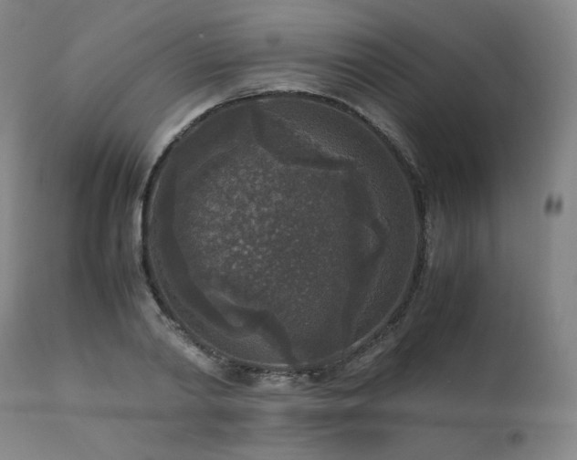 X0000111810790200907231233
