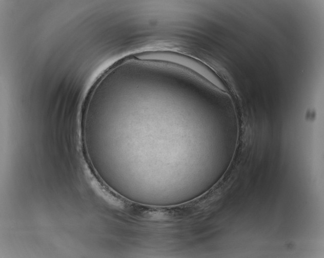 X0000111810792200907231233