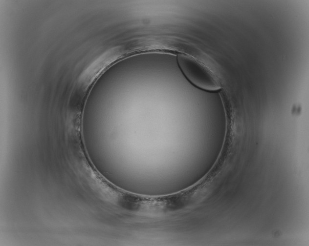 X0000111810793200907231233