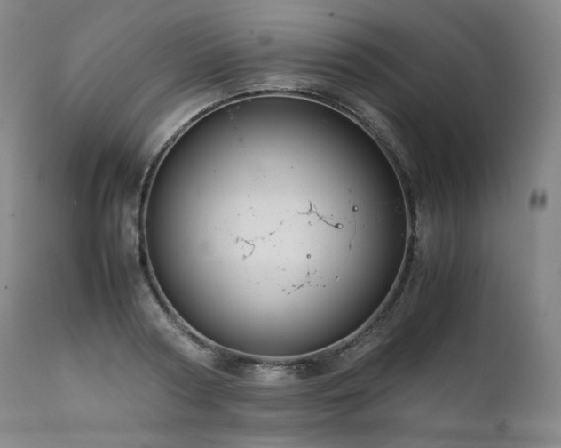 X0000111810794200907231233