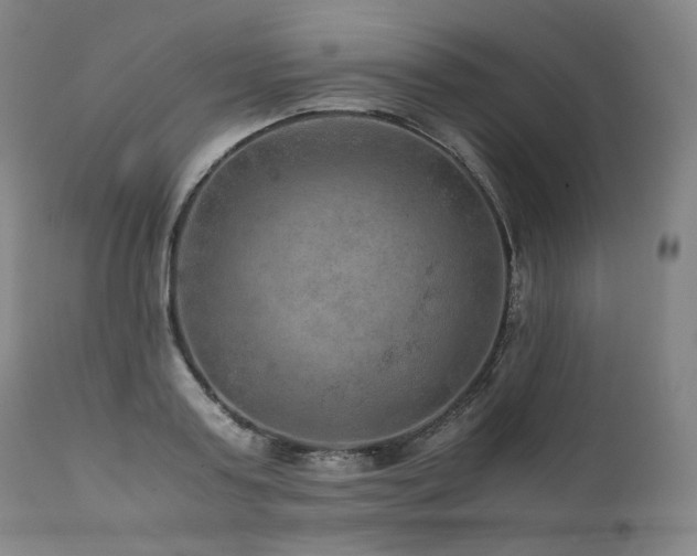 X0000111810795200907231233