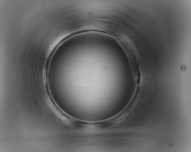 X0000111810796200907231233