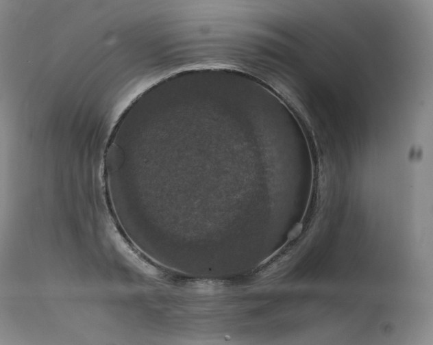 X0000111810797200907231233