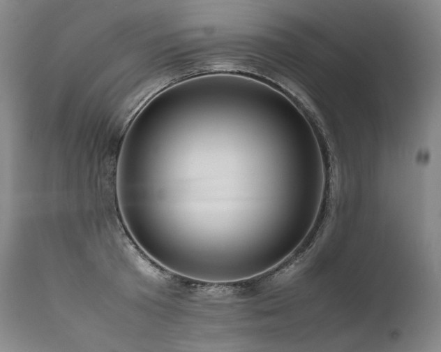 X0000111810801200907231233