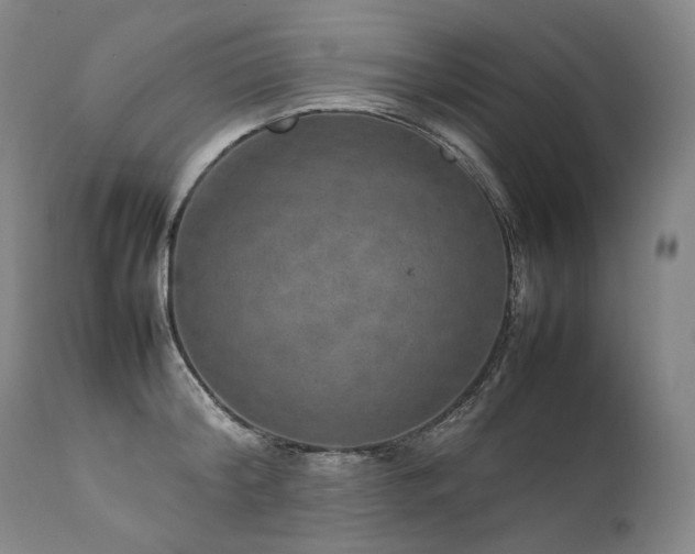 X0000111810804200907231233