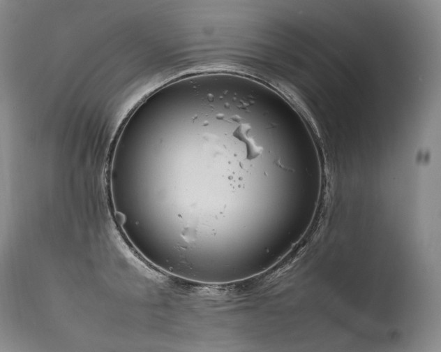 X0000111810805200907231233