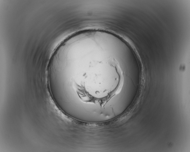 X0000111810807200907231233