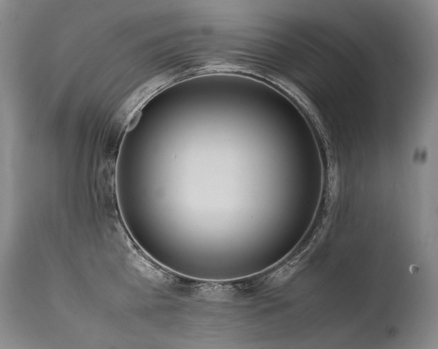 X0000111810809200907231233