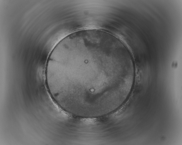 X0000111810810200907231233