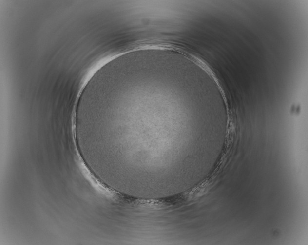 X0000111810811200907231233