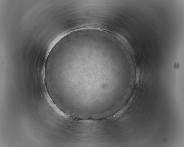 X0000111810812200907231233
