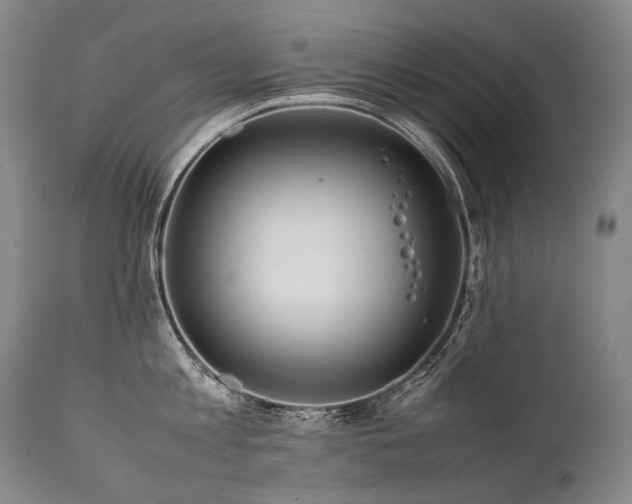 X0000111810813200907231233