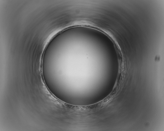 X0000111810815200907231233