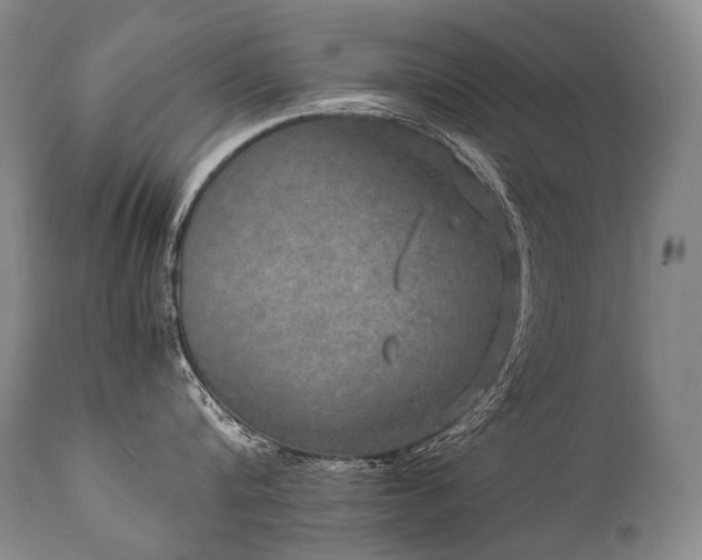 X0000111810816200907231233