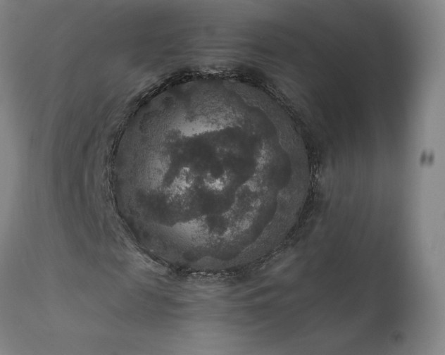 X0000111810817200907231232