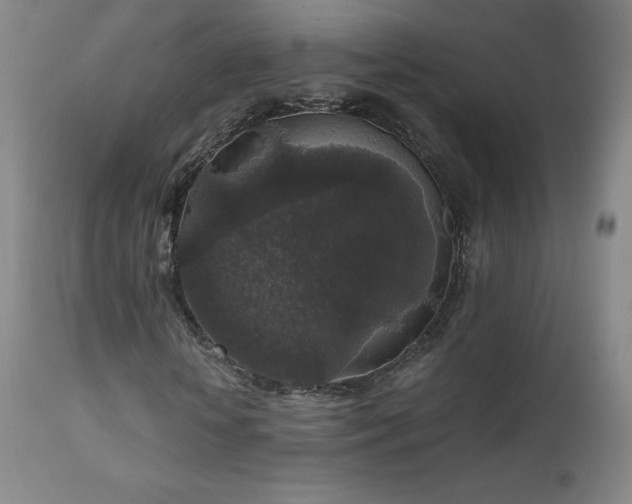 X0000111810818200907231232