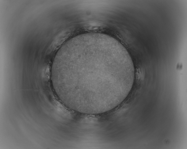 X0000111810820200907231232