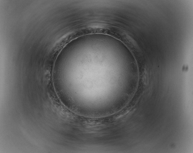 X0000111810821200907231232