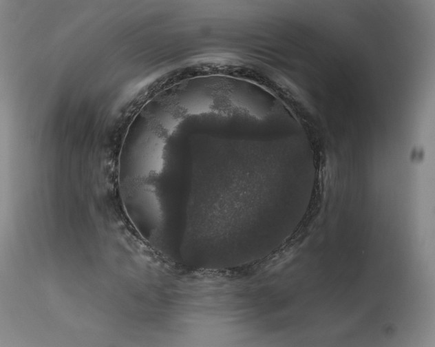 X0000111810822200907231232