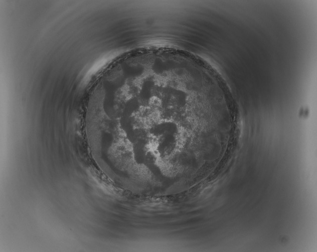 X0000111810823200907231232