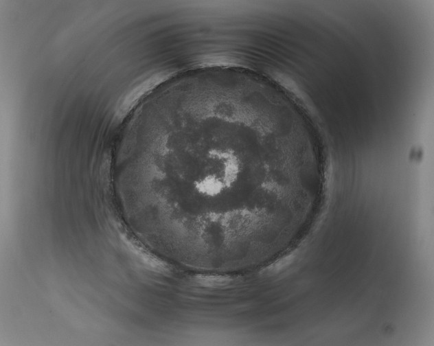 X0000111810825200907231232