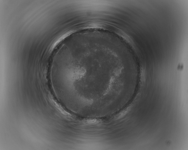 X0000111810826200907231232