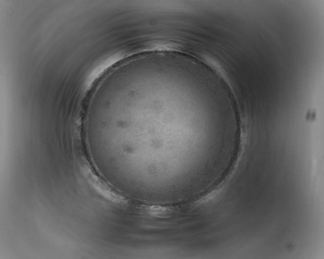 X0000111810827200907231232