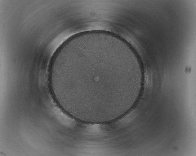 X0000111810828200907231232