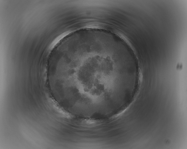 X0000111810829200907231232