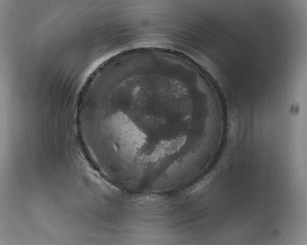 X0000111810830200907231232