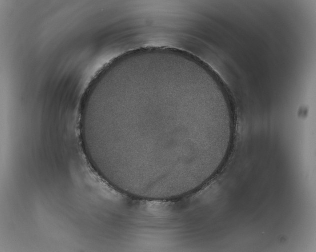 X0000111810832200907231232