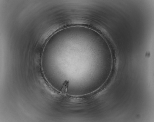 X0000111810833200907231232
