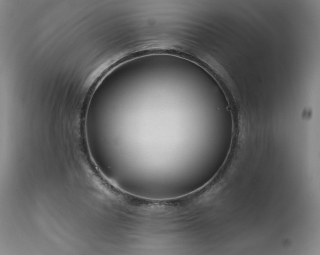X0000111810834200907231232