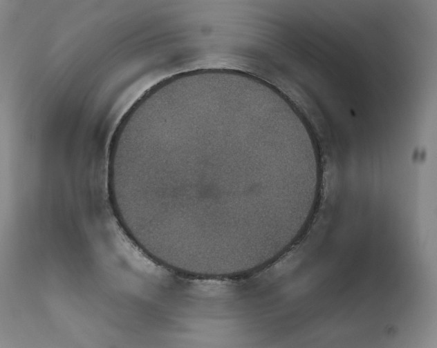 X0000111810836200907231232