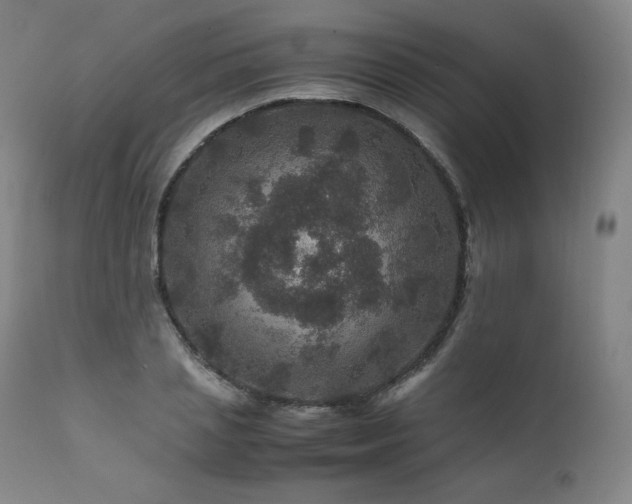 X0000111810837200907231232