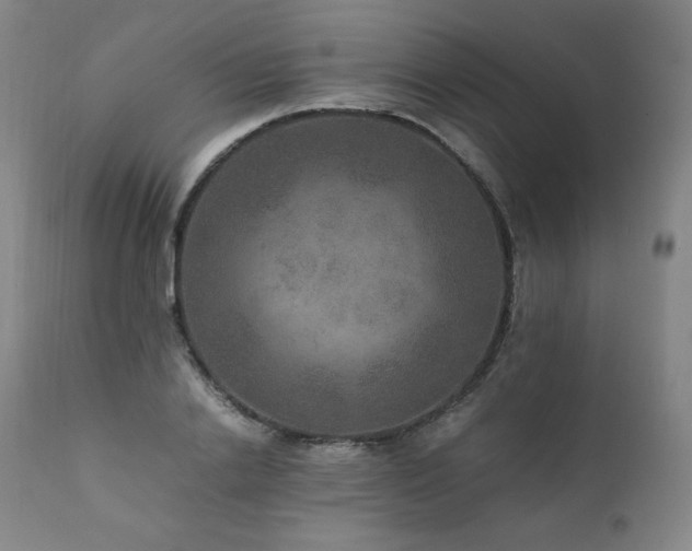 X0000111810838200907231232