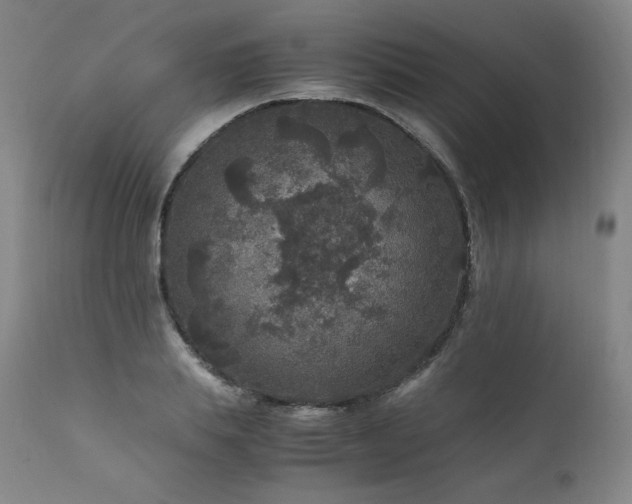 X0000111810839200907231232