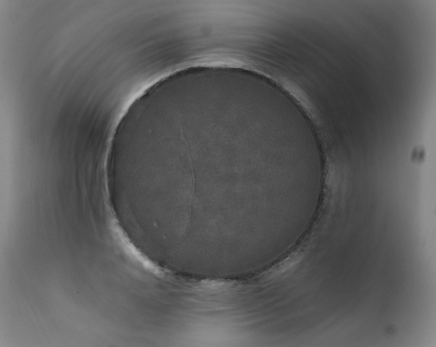 X0000111810840200907231232