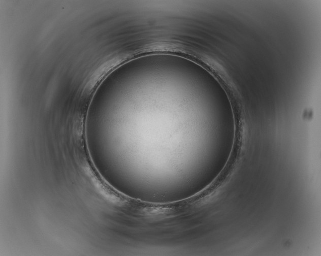 X0000111810841200907231232